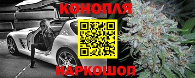 трава Аргун