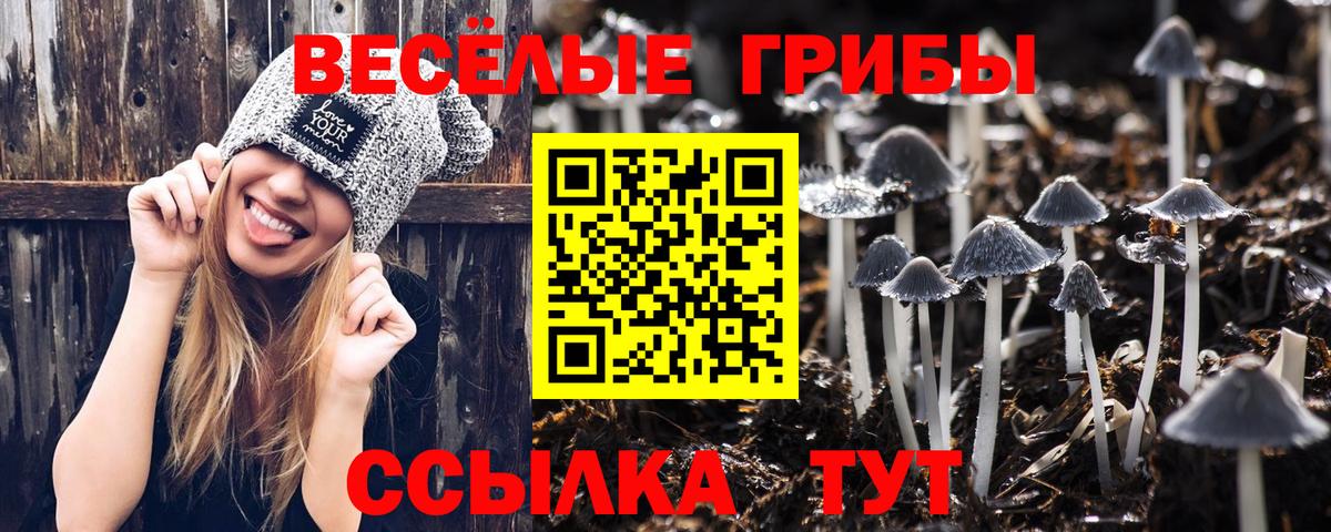 цена   Псилоцибиновые грибы MAGIC MUSHROOMS  Вход с VPN  Архангельск 